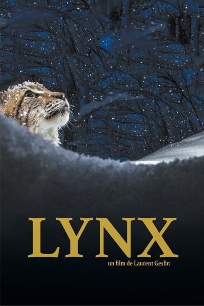 Lynx-poster-2022-1659023170