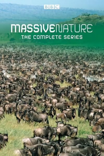 Massive Nature-poster-2004-1659029501