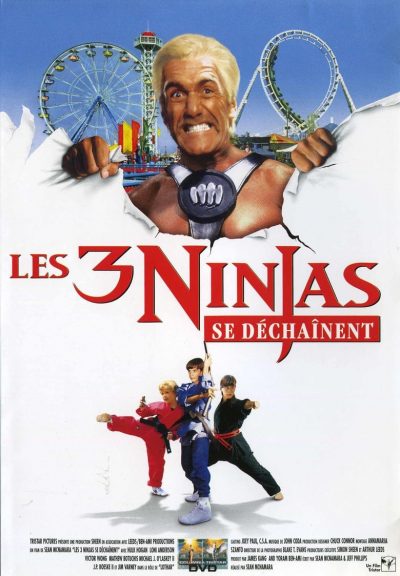 Ninja Kids 4 : Les 3 Ninjas se déchaînent-poster-1998-1658671343