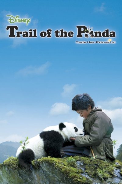 Panda on the Way Home-poster-2009-1658730415