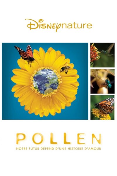 Pollen-poster-2011-1658749918