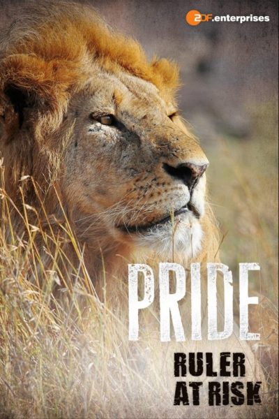 Pride – Ruler’s at Risk-poster-2016-1658848481