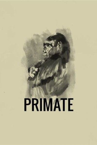 Primate-poster-1974-1658395334