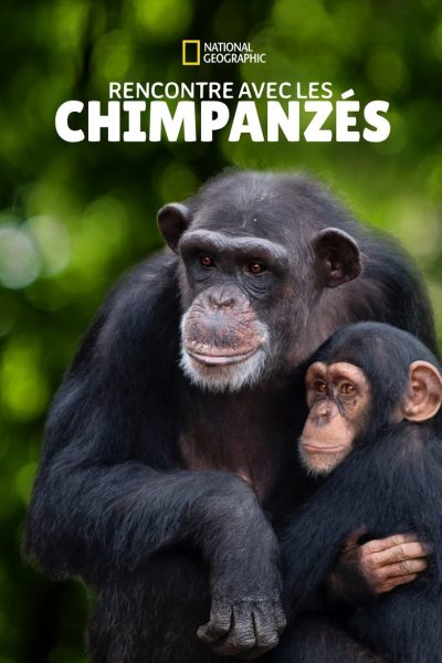 Rencontre avec les Chimpanzés-poster-2020-1659278633