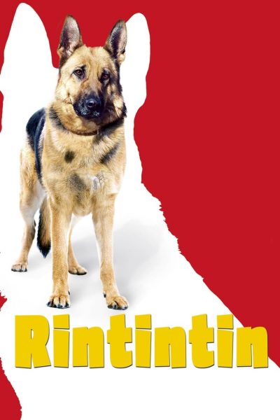 Rintintin-poster-2007-1658728380