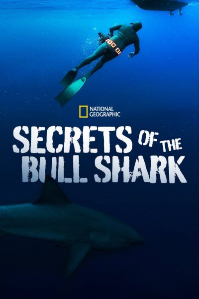 Secrets of the Bull Shark-poster-2020-1658737567