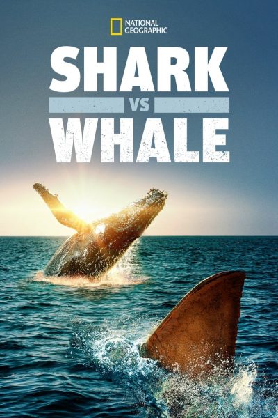 Shark Vs. Whale-poster-2020-1658737555