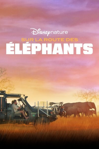 Sur la route des éléphants-poster-2020-1658990045