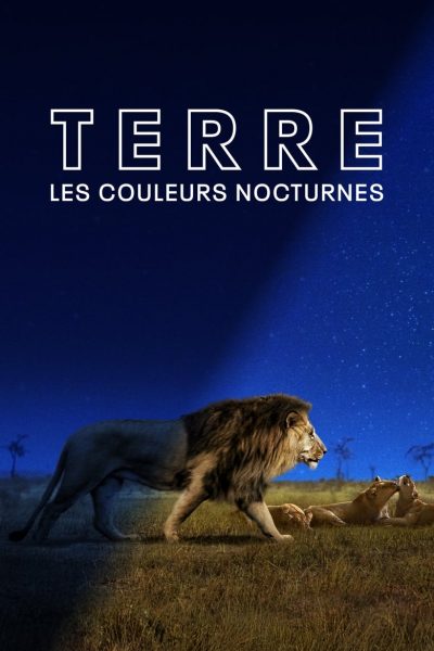 Terre : les couleurs nocturnes-poster-2020-1659065621
