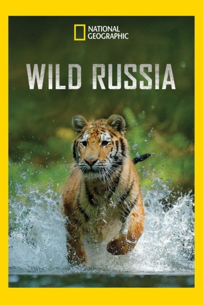 Terres sauvages de Russie-poster-2008-1659038602