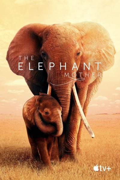 The Elephant Mother-poster-2019-1659159146