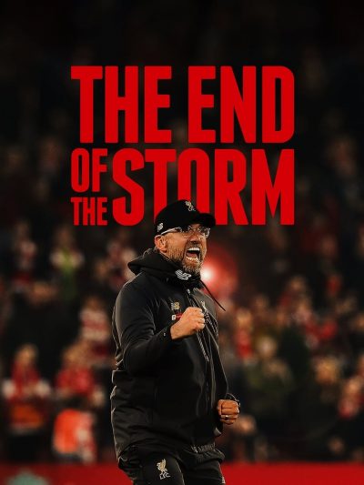 The End of the Storm-poster-2020-1658989454
