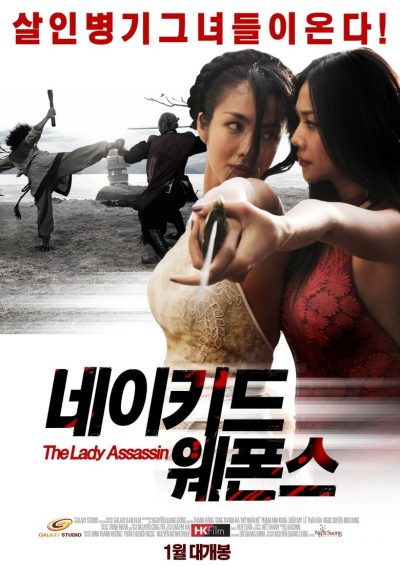 The Lady Assassin-poster-2013-1658768467
