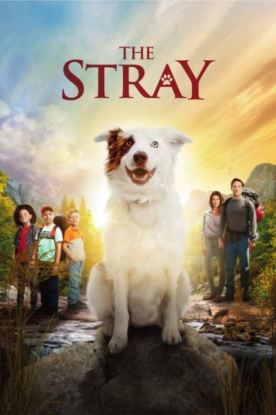 The Stray-poster-2017-1658911911