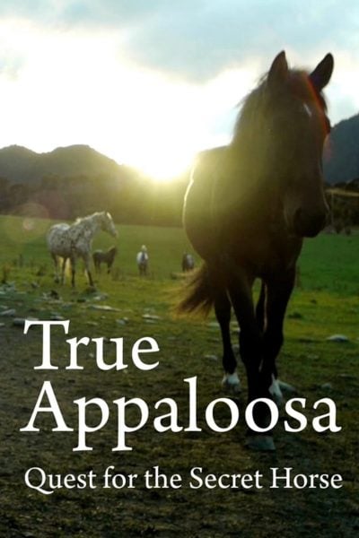 True Appaloosa-poster-2015-1658826717