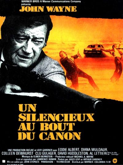 Un silencieux au bout du canon-poster-1974-1658395233