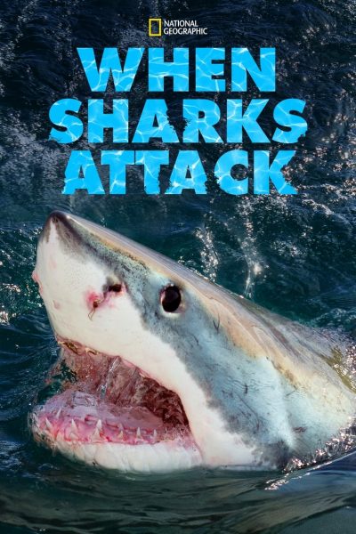 When Sharks Attack-poster-2013-1659063666