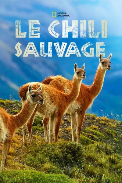 Wild Chile: Un viaje salvaje-poster-2017-1659064987