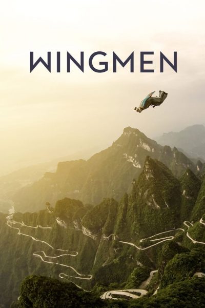 Wingman-poster-fr-2011