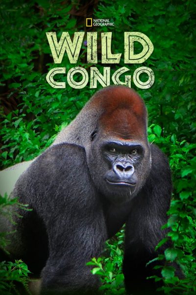 Destination Wild : Congo-poster-2014-1659354735