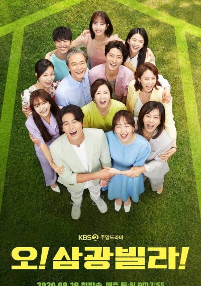 Homemade Love Story-poster-2020-1661937688