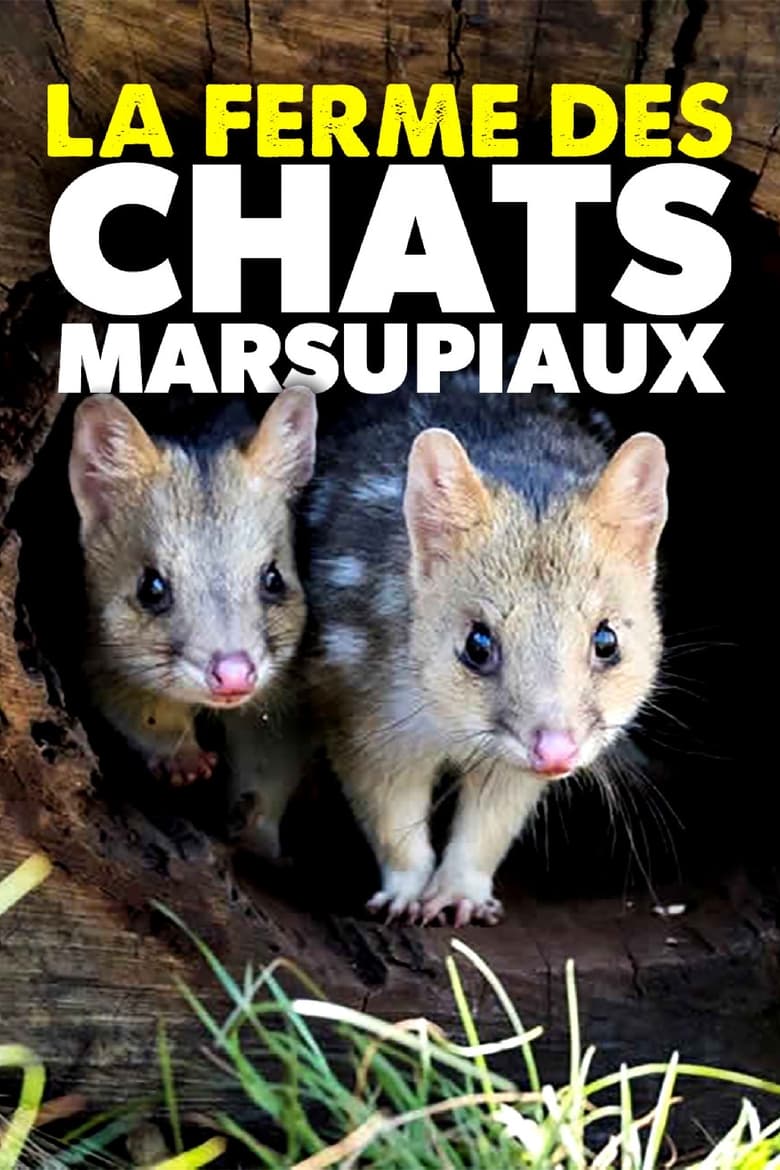 La ferme des chats marsupiaux: Un refuge en Tasmanie