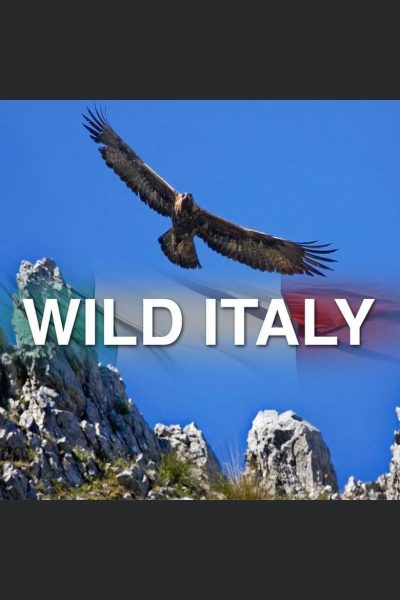 Wild Italy-poster-2014-1659351551