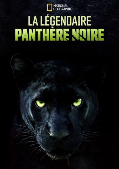 La légendaire panthère noire-poster-2020-1672610598