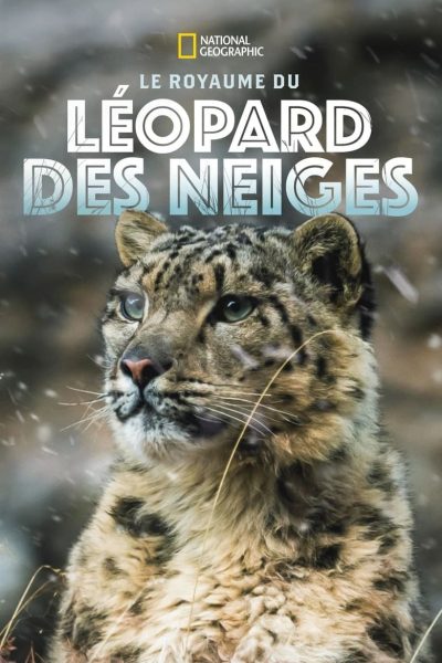 The Frozen Kingdom of The Snow Leopard-poster-2020-1674841122