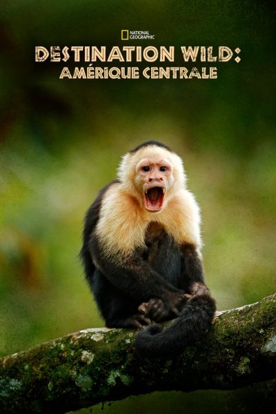 Regarder Destination Wild : Amérique centrale