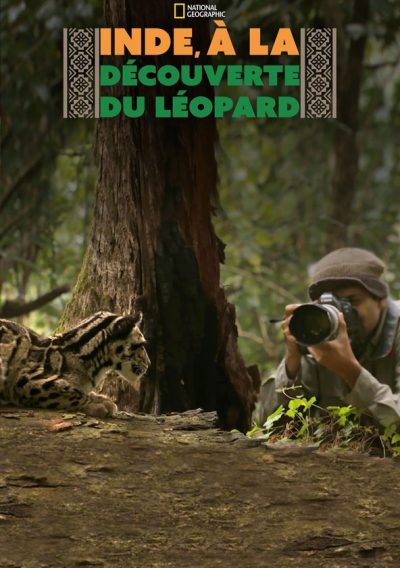 Inde, à la découverte du léopard-poster-2020-1679671776