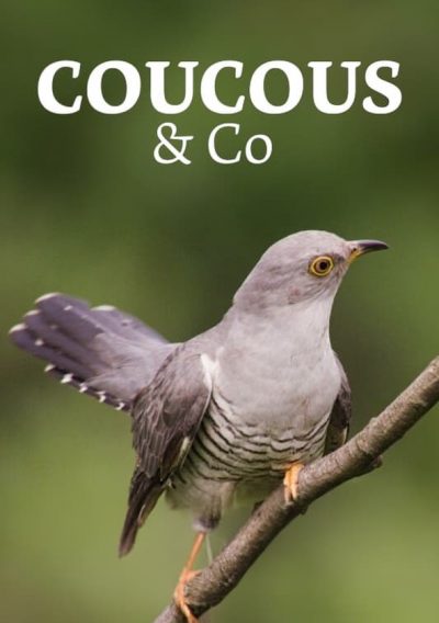 Coucous & Co. : dans le nid d'un autre
