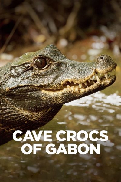 Gabon: dans les grottes des crocodiles orange-poster-2018-1692382919