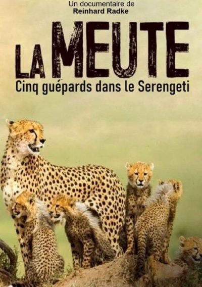 La Meute : Cinq guépards dans le Serengeti-poster-2019-1692395448