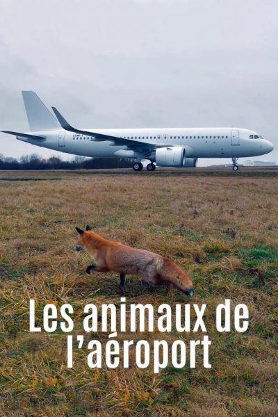 Les animaux de l’aéroport-poster-2023-1692382929