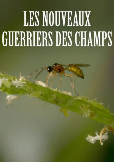 Les nouveaux guerriers des champs-poster-2016-1693524634