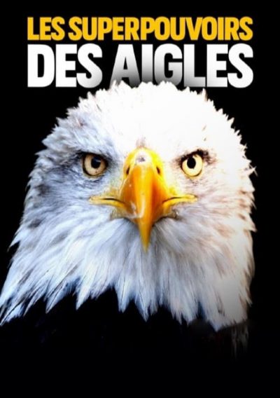 Les superpouvoirs des aigles-poster-2021-1692382891