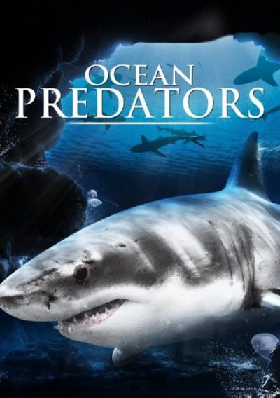 Ocean Predators-poster-2019-1692395457