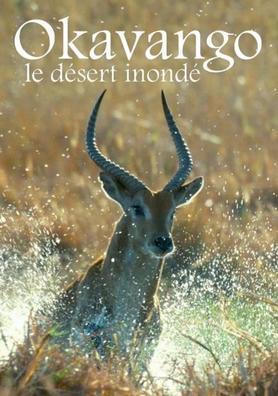 Okavango, le désert inondé-poster-2021-1692382988