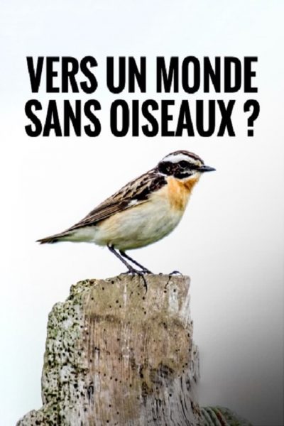 Vers un Monde Sans Oiseaux ?-poster-2020-1693524630