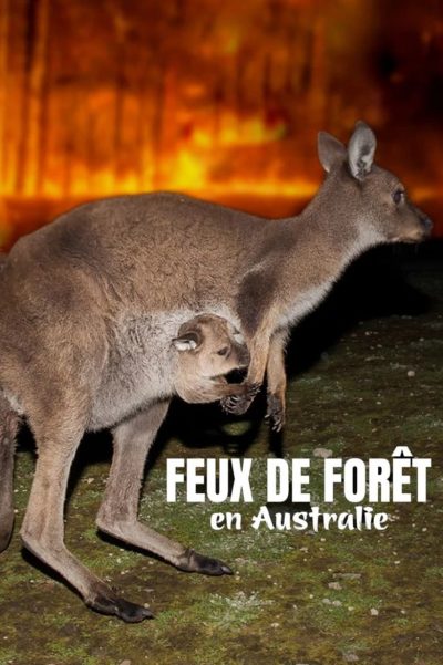 Feux de forêt en Australie: Au secours de la faune sauvage-poster-2020-1698788363
