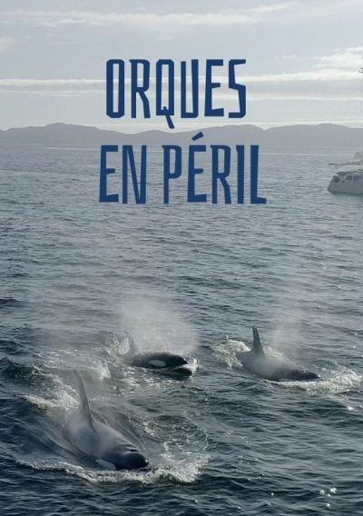 Orques en peril-poster-2020-1698779154