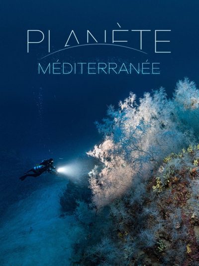 Planète méditerranée-poster-2020-1698788361