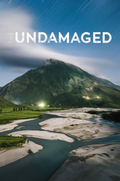 The Undamaged-poster-2020-1698779105