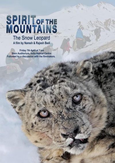Himalaya, la quête du léopard des neiges