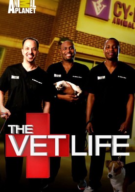 The Vet Life-poster-2017-1709648378