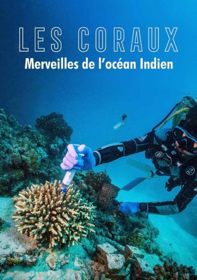 Fascinants coraux - Merveilles de l'océan Indien