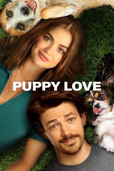 Puppy Love-poster-2023-1714080415