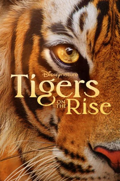 Tigres : le making of-poster-2024-1714479739
