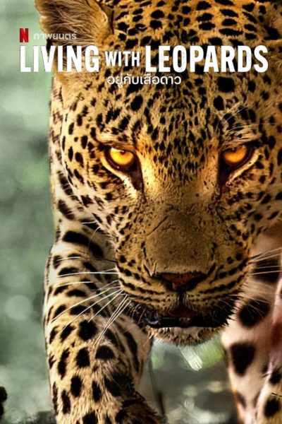 Avec les léopards-poster-2024-1715954296